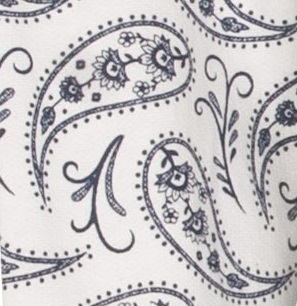 Tenderness nh paisley detail 2nd
